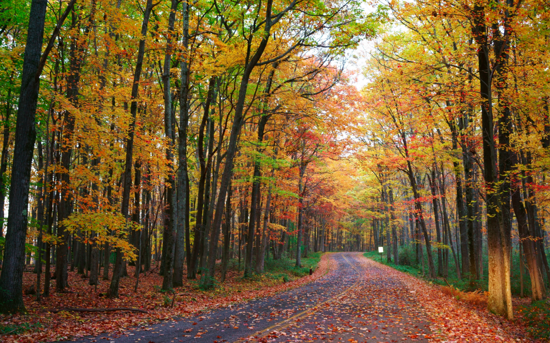 RECOMMENDED READING: A WORD FROM THE CEO OF TOURISM CARES